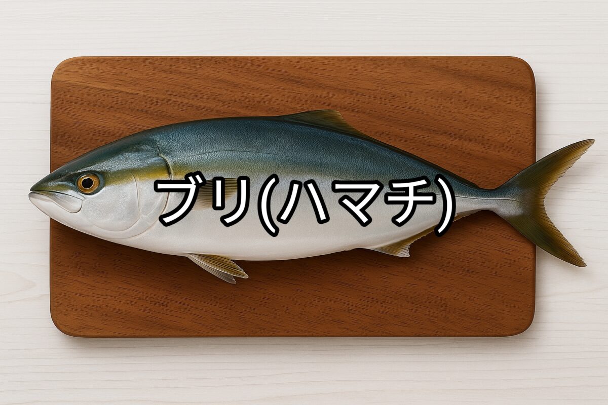 ブリ(ハマチ、メジロ)