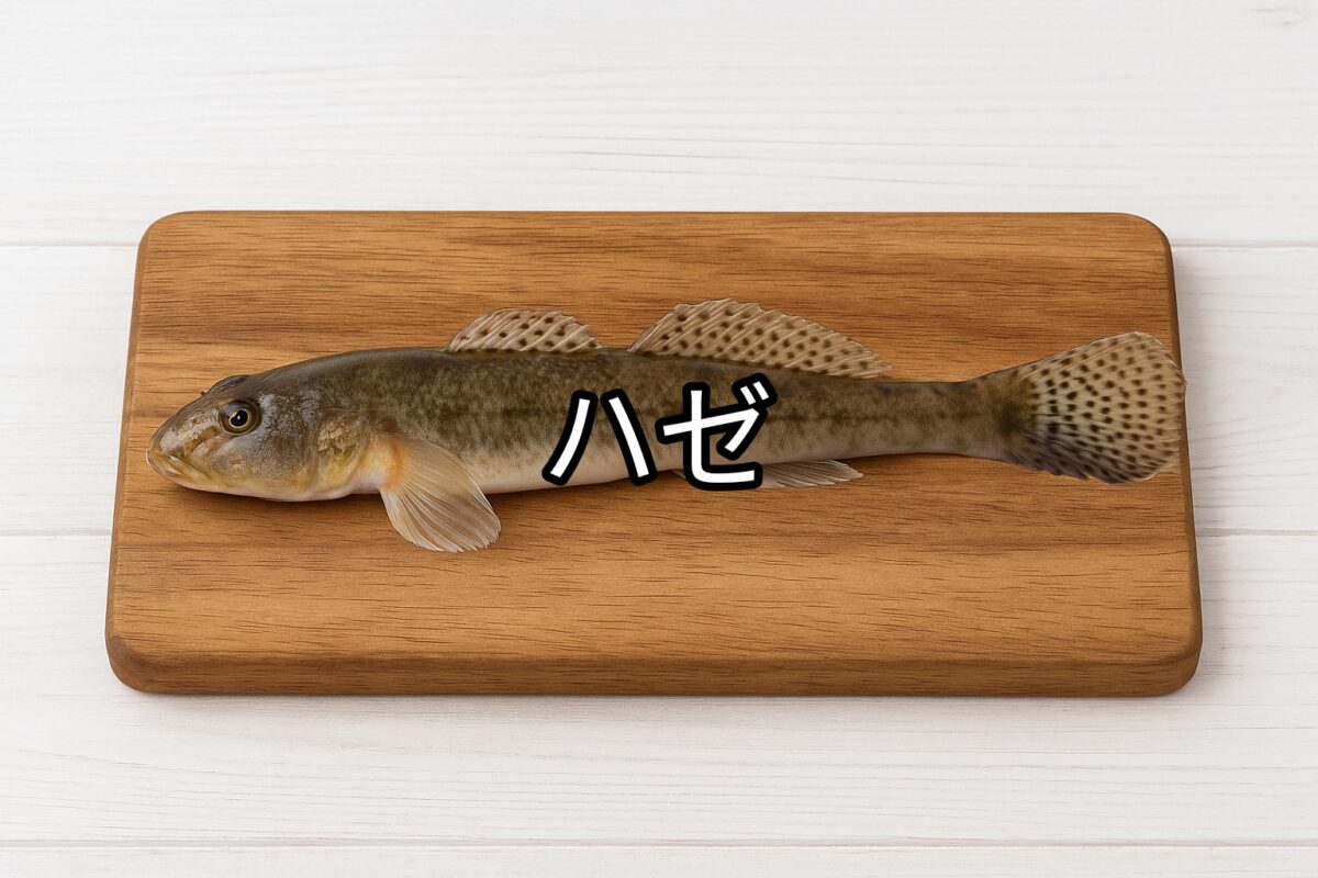 ハゼ