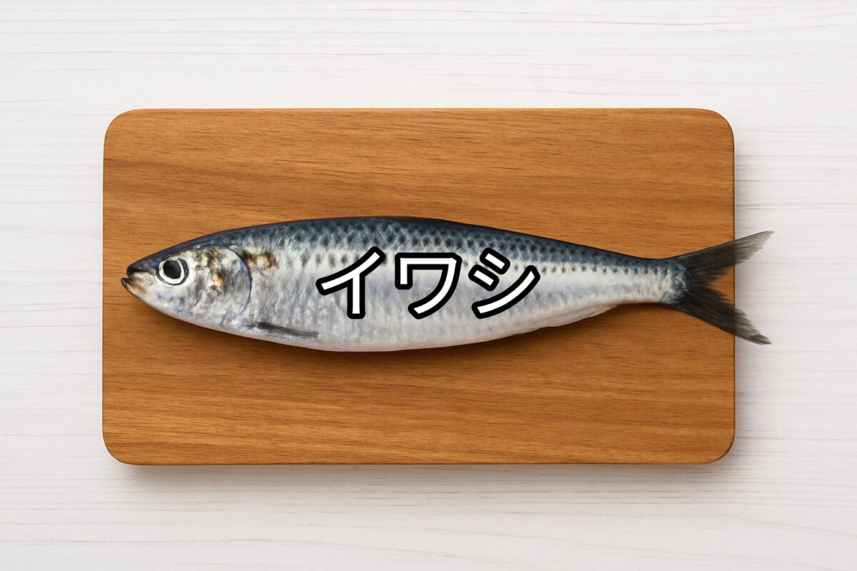 イワシ