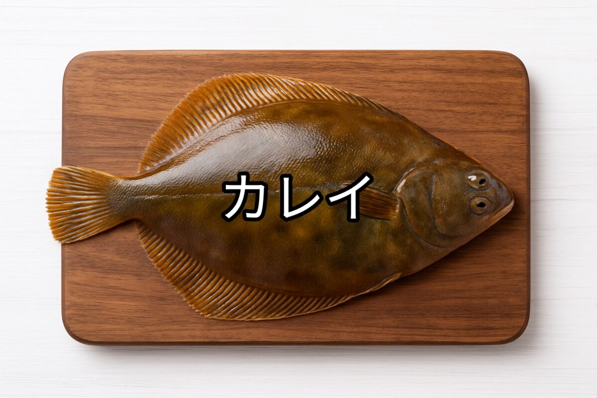 カレイ