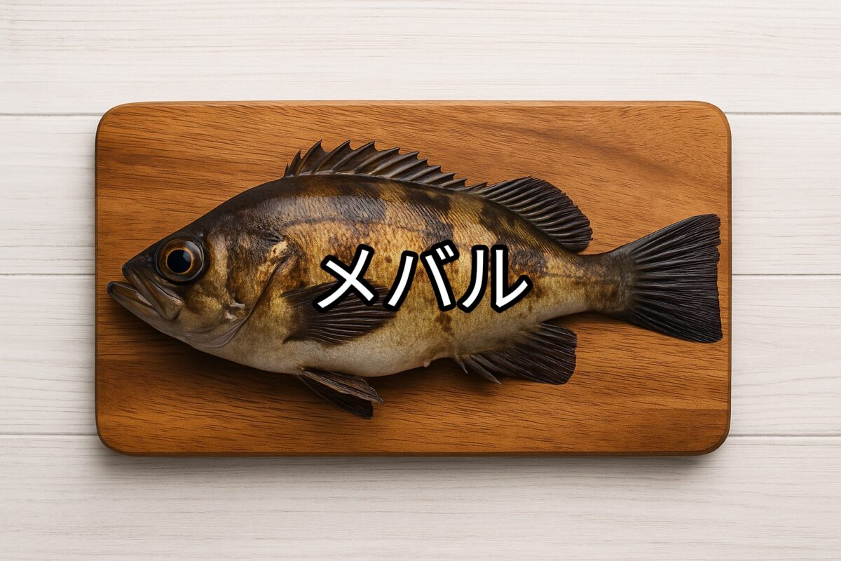 メバル