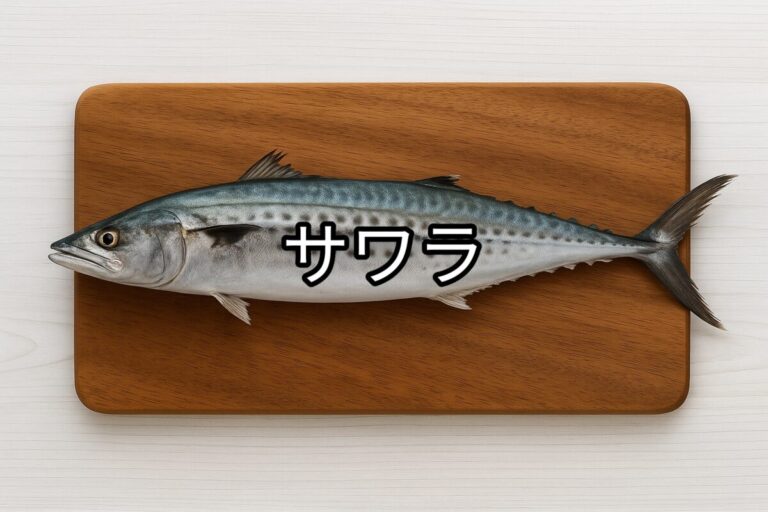 サワラ