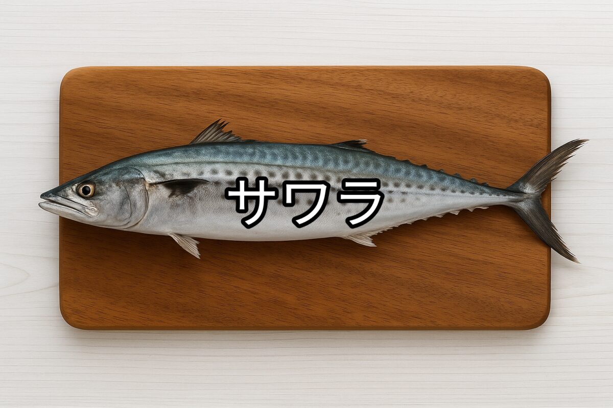 サワラ
