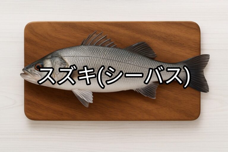 スズキ(シーバス)