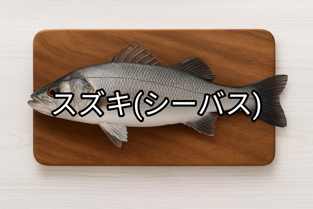スズキ(シーバス)
