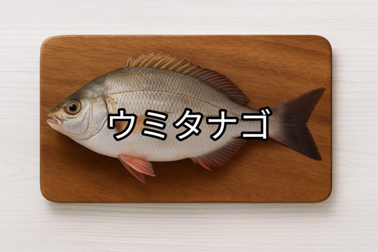 ウミタナゴ