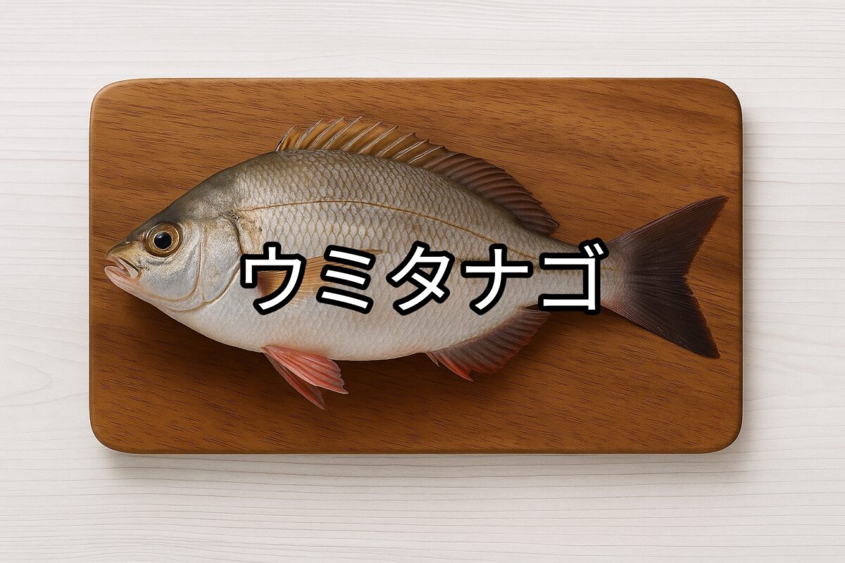 ウミタナゴ