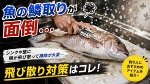 鯛の鱗を取って、鱗が飛び散って悩んでいる画像