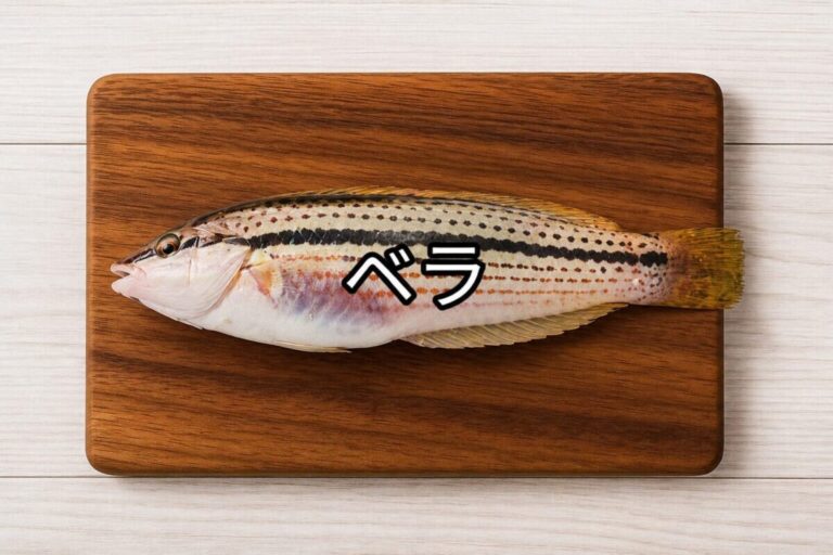 ベラ