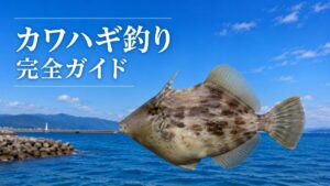 カワハギ釣り完全ガイドのアイキャッチ画像