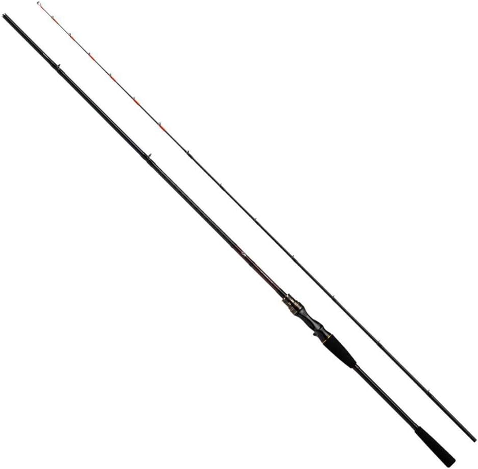 ダイワ ライトヒラメ X M-240・R