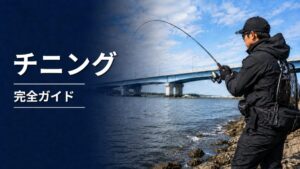 チニングのアイキャッチ画像