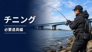 チニングのアイキャッチ画像