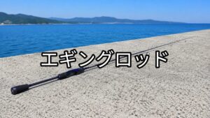エギングロッドの画像