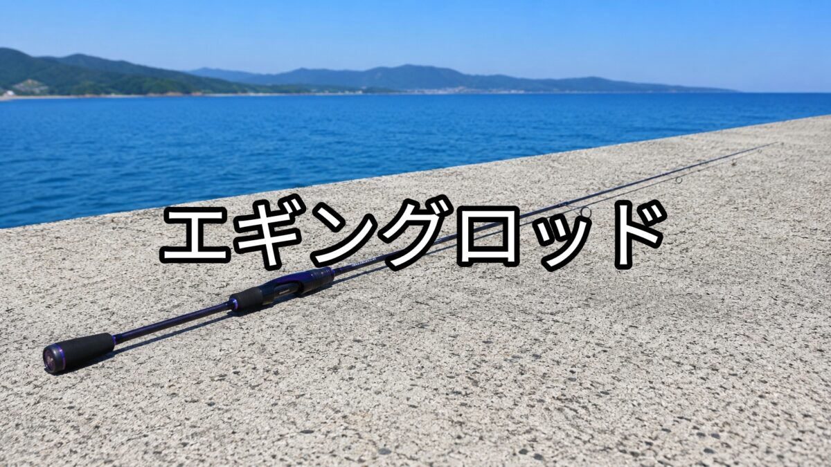 エギングロッドの画像