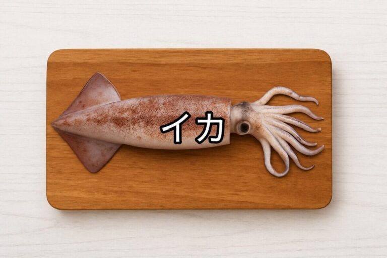 イカ