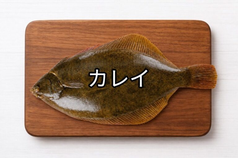 カレイ