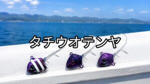 タチウオテンヤの画像