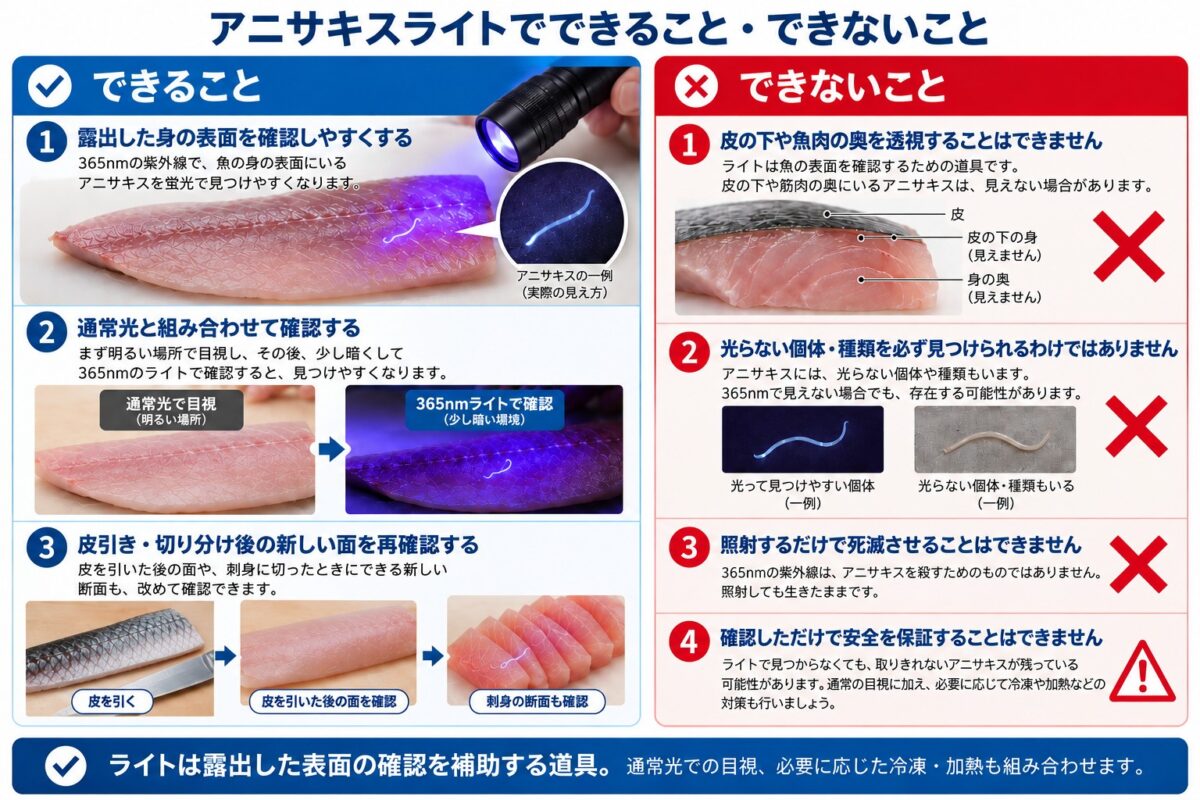 アニサキスライトでできること・できないこと。露出した身の表面確認を補助できる一方、身の奥の透視や死滅処理、安全保証はできないことを解説