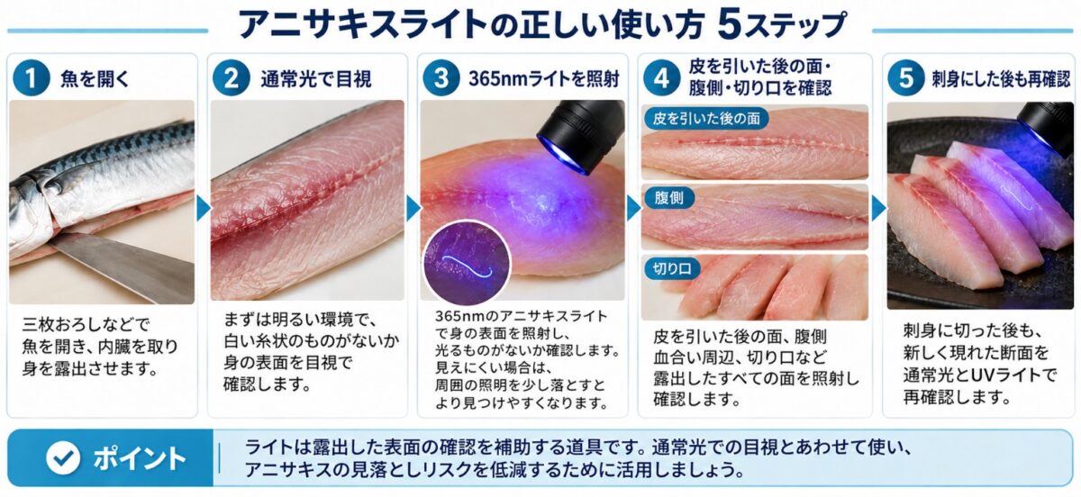 アニサキスライトの正しい使い方5ステップ。魚を開き通常光で目視し、365nmライトで確認し、皮を引いた後や刺身の断面も再確認する流れ