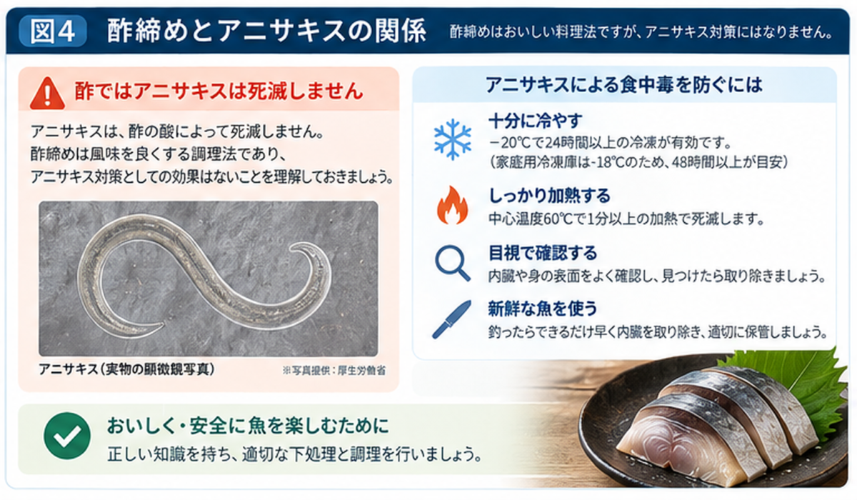 酢締めではアニサキスは死滅しないことと、冷凍・加熱・目視確認などの予防方法を示した図解